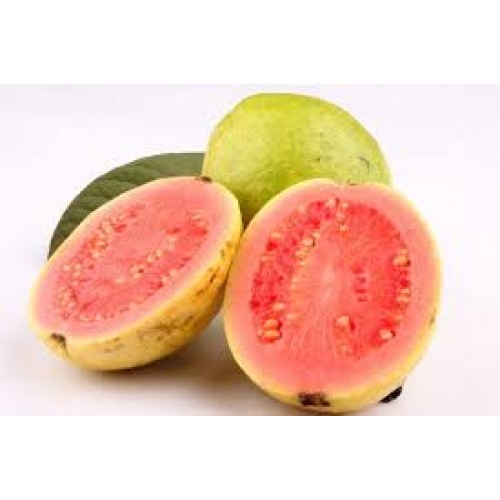 Goiaba Congelado - Fruta 1 kg